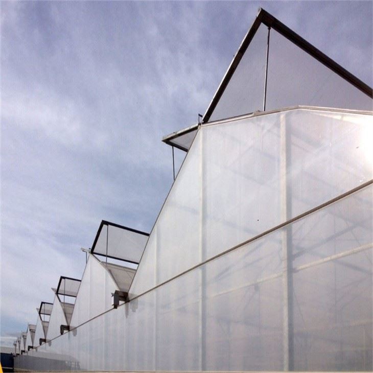 Butterfly Roof Vent Greenhouse