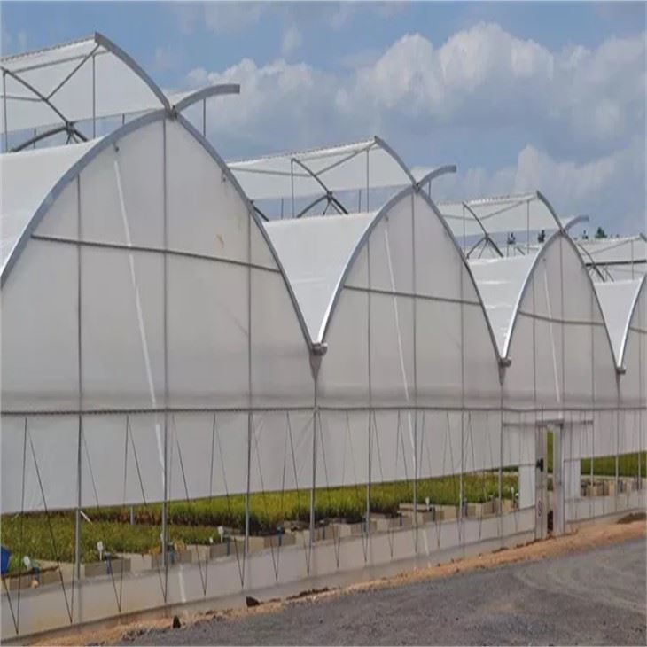 Butterfly Roof Vent Greenhouse