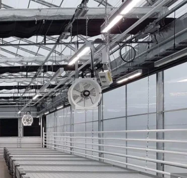 Seedling Film Greenhouse