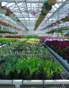 Seedling Film Greenhouse